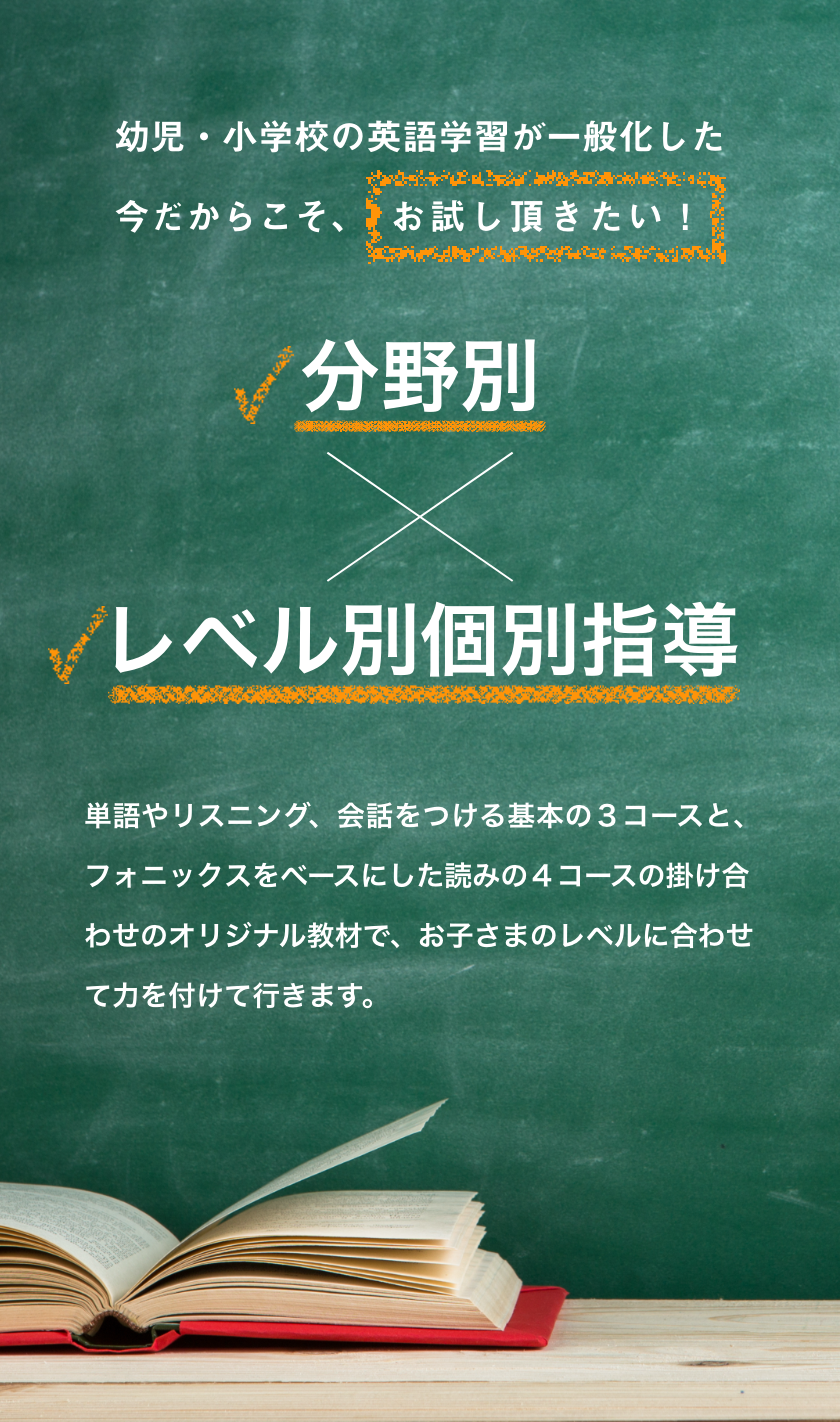 分野別×レベル別個別指導